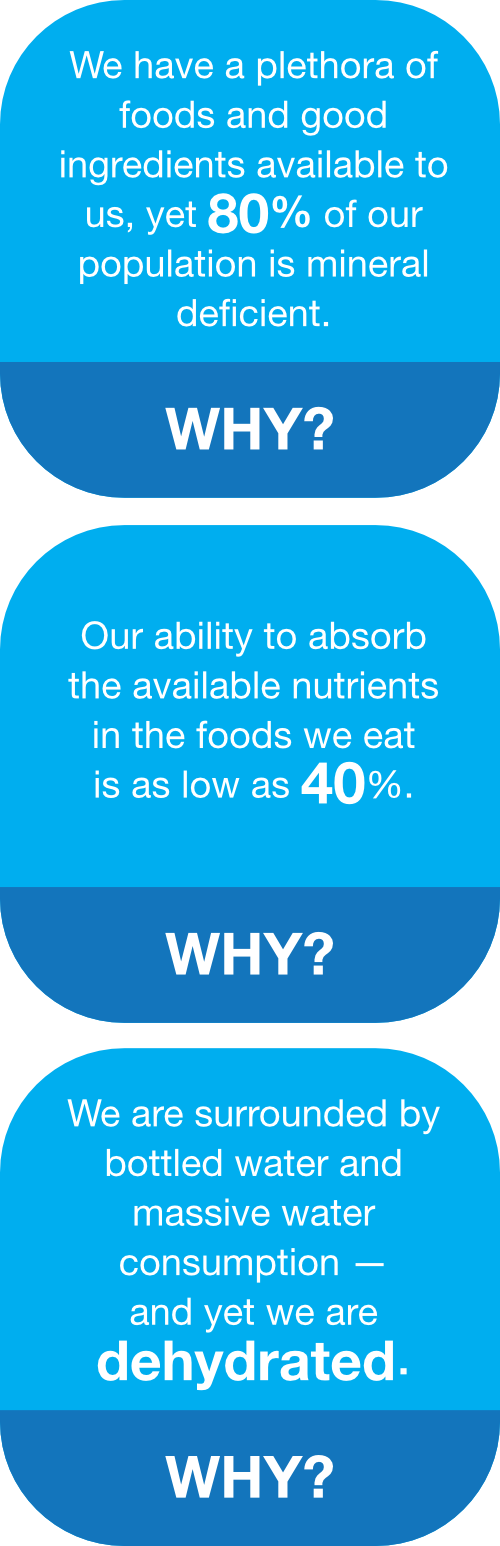 Nutritional paradox graphic mobile